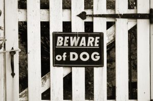 animal attack lawyer manchester