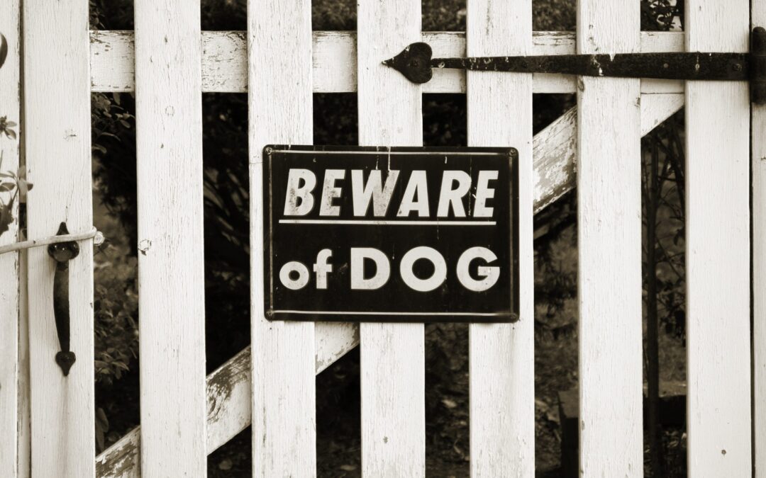 Animal Attacks May Be On the Rise. Here’s Our Take.