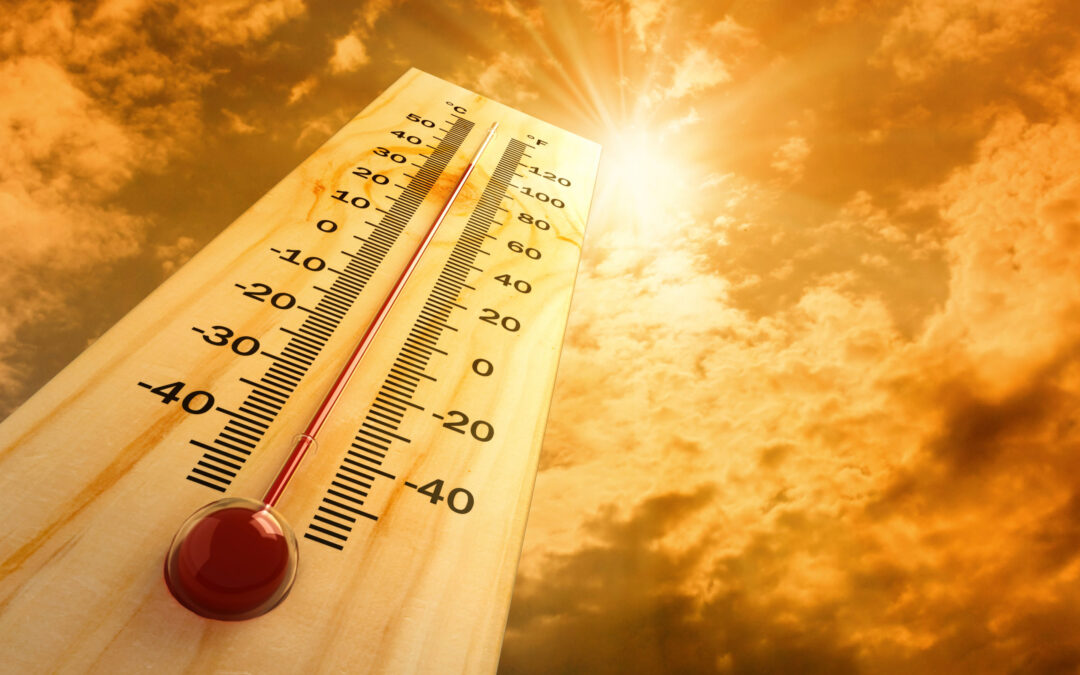 4 Tips for Safe Summertime Driving in NH