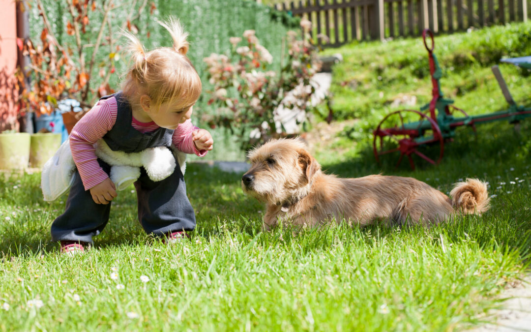 Outdoor Season Increases the Chance of Animal Attacks