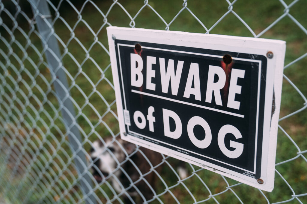 animal attack lawyer nh