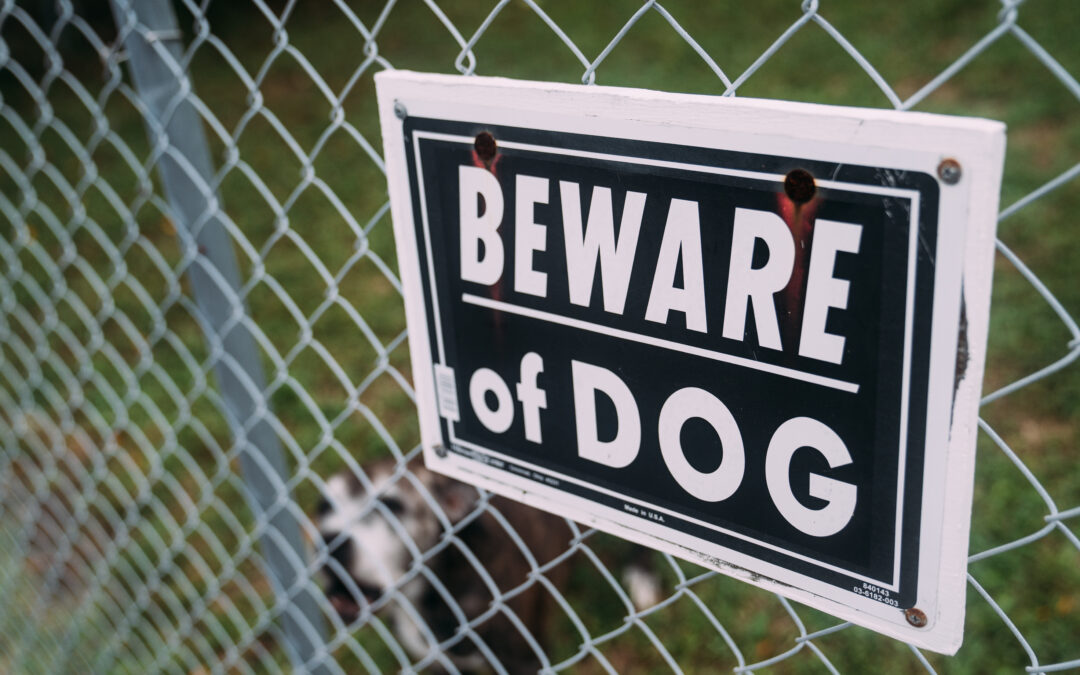 Reasons to Hire an Animal Attack Lawyer, Part 1