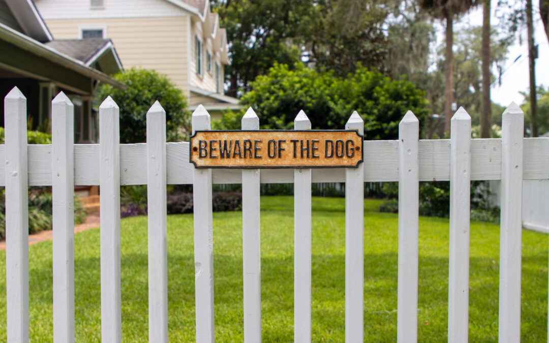 Reasons to Hire an Animal Attack Lawyer, Part 2